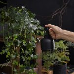Brumisateur pour soins des plantes d'intérieur