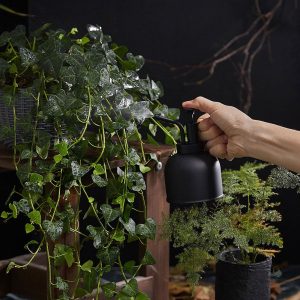 Brumisateur pour soins des plantes d'intérieur