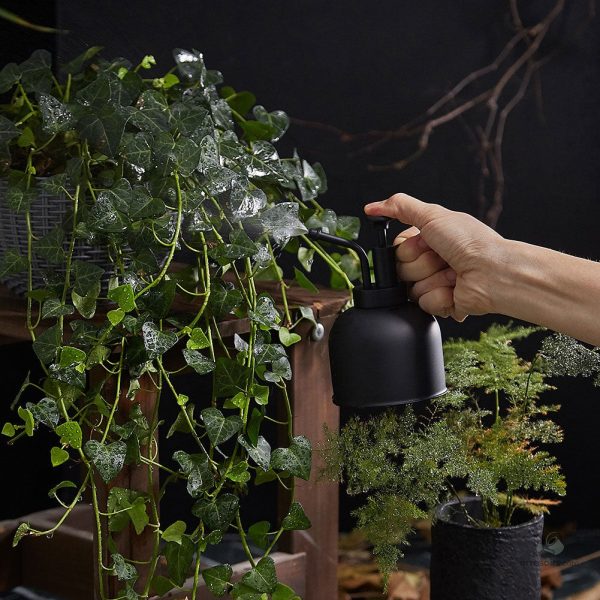 Brumisateur pour soins des plantes d'intérieur