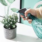 Brumisateur compact pour soins des plantes
