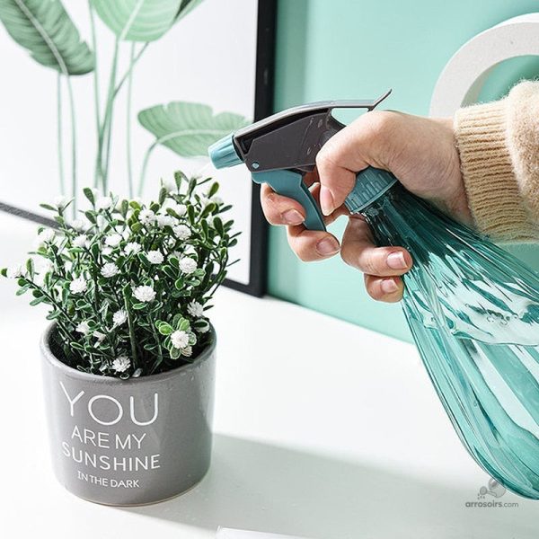 Brumisateur compact pour soins des plantes