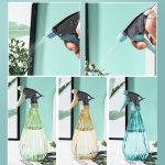 Vaporisateur esthétique pour l'arrosage des plantes