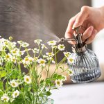Brumisateur pour plantes, vaporisateur pratique et efficace