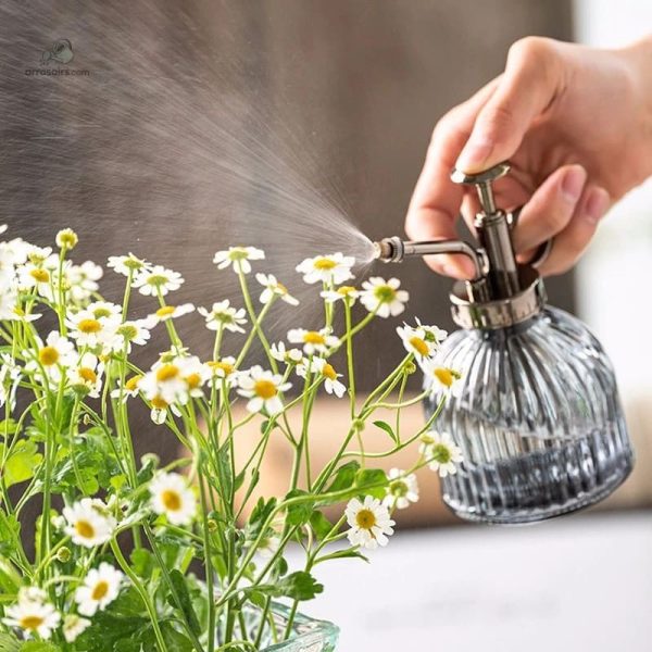 brumisateur-plantes-1 Brumisateur pour plantes, vaporisateur pratique et efficace