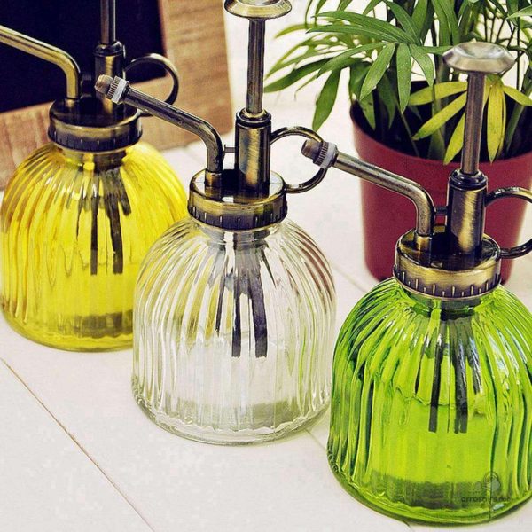 Vaporisateur pour plantes d'intérieur, humidité contrôlée