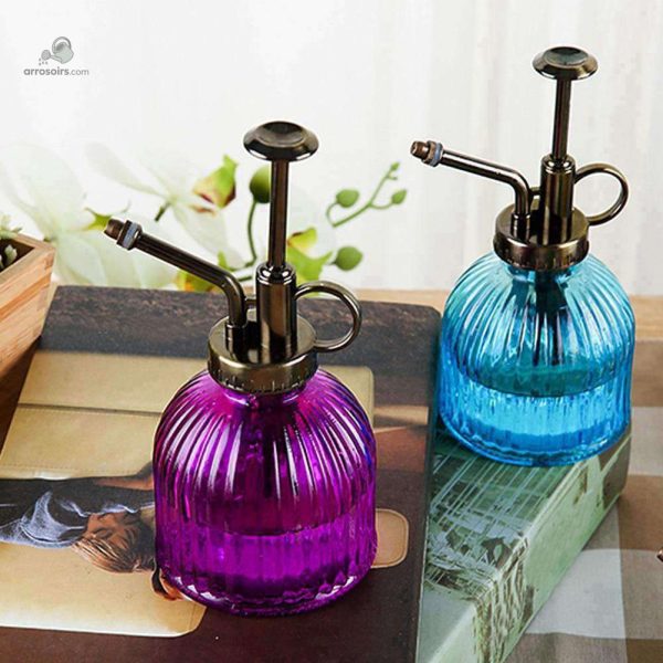 Brumisateur compact pour soins des plantes d'extérieur
