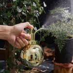 Brumisateur élégant pour brumiser vos plantes préférées