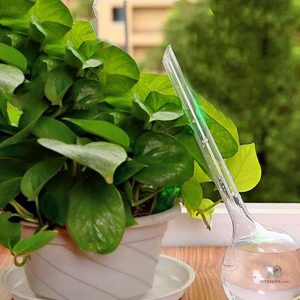 Accessoire pour l'arrosage efficace des plantes