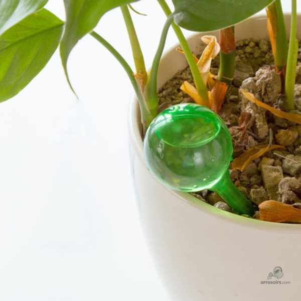 Accessoire de jardinage pour un arrosage ciblé