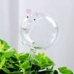Bulle d'arrosage en verre pour un arrosage autonome