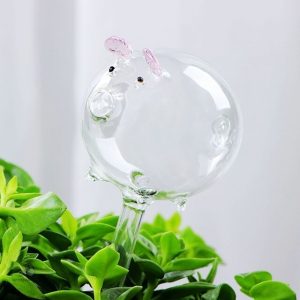 Bulle d'arrosage en verre pour un arrosage autonome