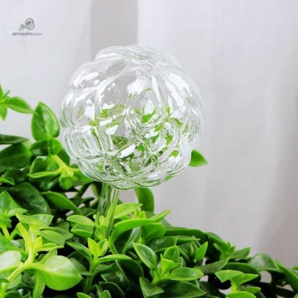 Bulle d'arrosage en verre, design pratique et élégant