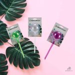 Système de bulles d'arrosage pour jardinage pratique