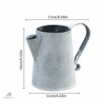 Carafe vintage pour un arrosage pratique et esthétique