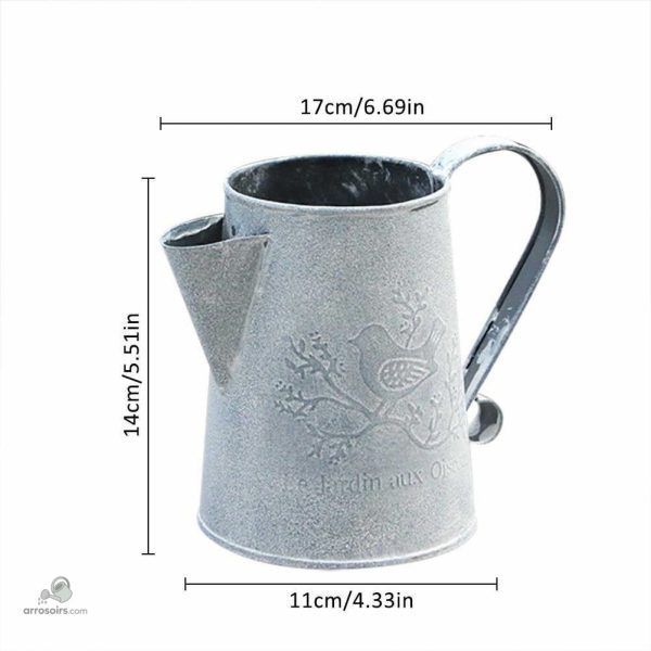 Carafe vintage pour un arrosage pratique et esthétique