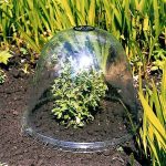 Cloche de Jardin pour un arrosage efficace