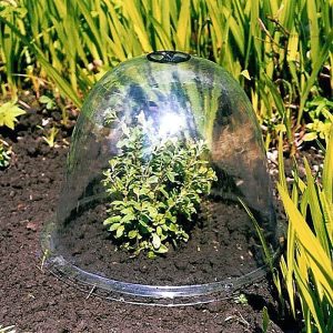 Cloche de Jardin pour un arrosage efficace
