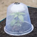 Cloche de Jardin en plastique léger pour protection des plantes