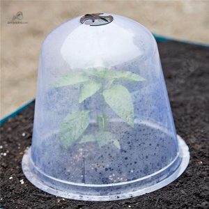 Cloche de Jardin en plastique léger pour protection des plantes