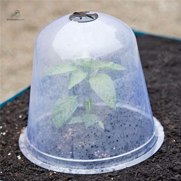 Cloche de Jardin en plastique léger pour protection des plantes