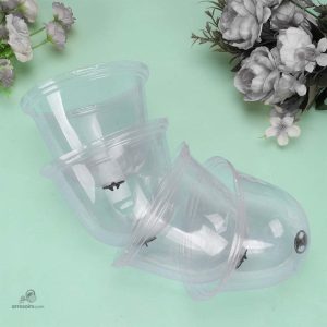 Cloche de Jardin pour créer un microclimat idéal