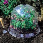 Cloche de Jardin avec ventilation ajustable pour réguler l'humidité