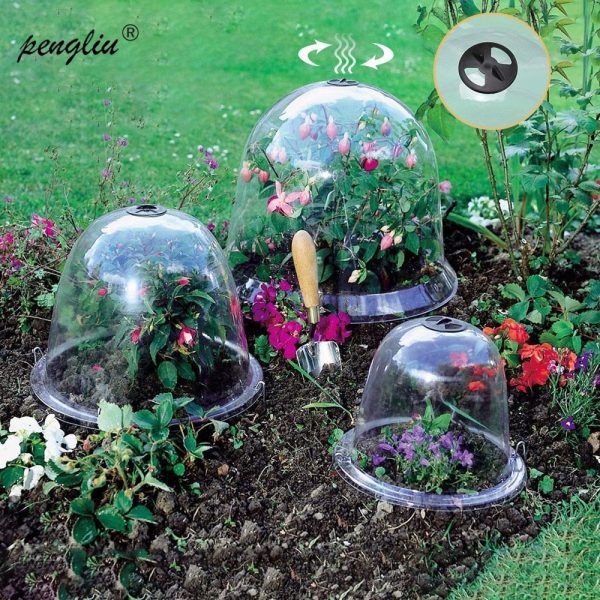 Cloche de Jardin facile à installer pour un arrosage simplifié