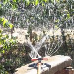 Système d'arrosage automatique à 360 degrés pour plantes