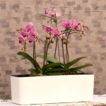 Pot de fleurs avec arrosage automatique pour l'intérieur et l'extérieur