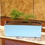 Pot d'arrosage automatique pour un jardinage simplifié