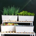 Jardinière fonctionnelle pour un entretien minimal