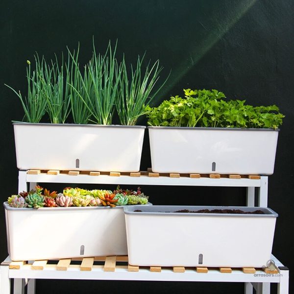 Jardinière fonctionnelle pour un entretien minimal