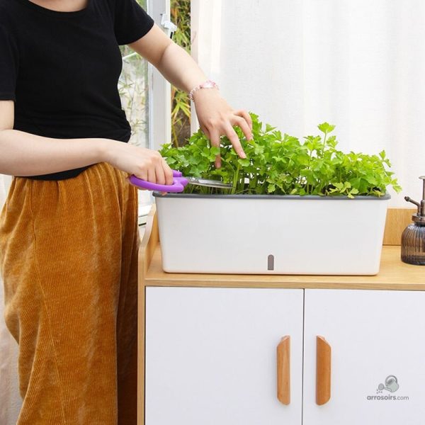 Pot avec réserve d'eau pour éviter le sur-arrosage