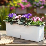 Pot design avec système d'auto-arrosage