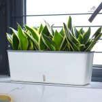 Pot d'arrosage automatique avec design moderne