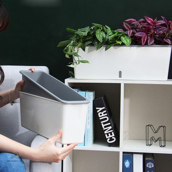 Jardinière auto-arrosante pour plantes d'intérieur