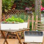 Pot d'arrosage efficace pour une croissance optimale