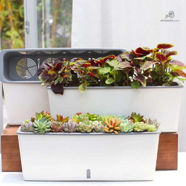 Pot auto-arrosant pour un jardinage simplifié