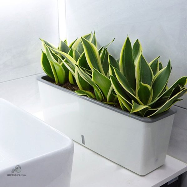 Jardinière avec réservoir d'eau pour plantes