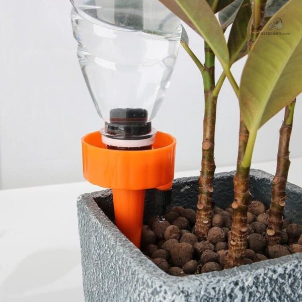 Système d'arrosage goutte à goutte pour plantes