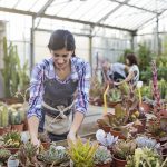 Accessoires d'arrosage pour un jardinage intérieur optimal