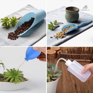 Système d'arrosage goutte à goutte pour plantes d'intérieur