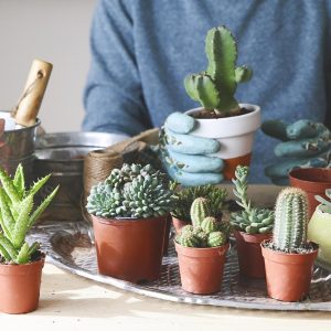 Accessoires de jardinage pour un arrosage efficace et facile