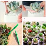 Kit pratique pour l'arrosage des plantes en intérieur