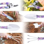 Kit d'initiation au jardinage - Favorise l'amour de la nature chez les enfants