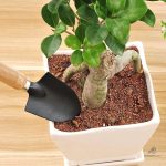 Mini outils de jardinage compacts pour un entretien facile