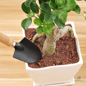 Mini outils de jardinage compacts pour un entretien facile