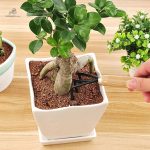 Set d'outils de jardinage pour entretenir vos plantes