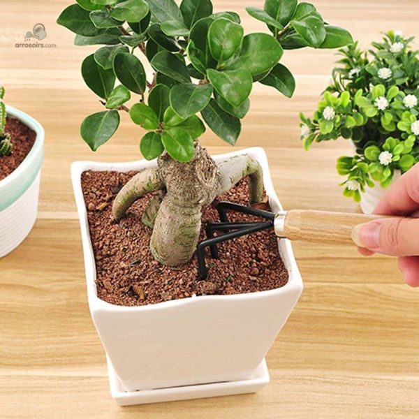 Set d'outils de jardinage pour entretenir vos plantes
