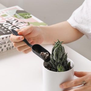 Vaporisateur pour plantes, idéal pour arroser et nourrir
